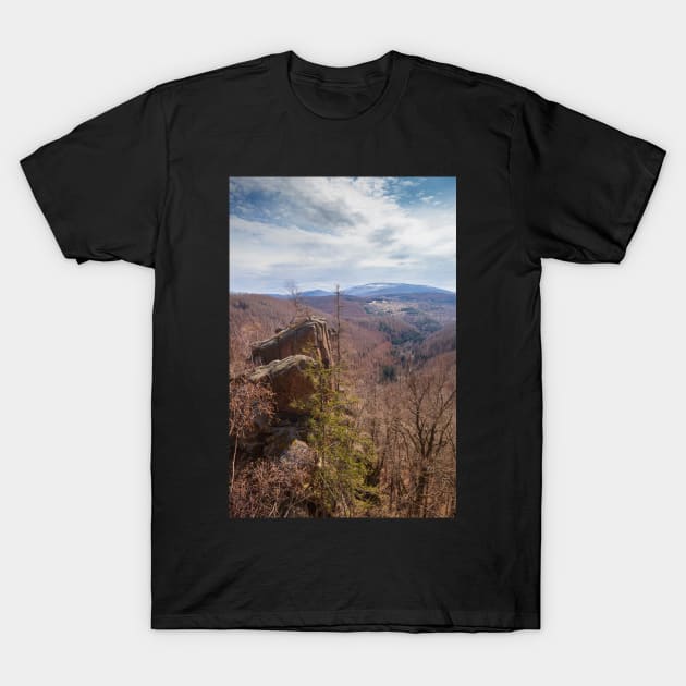 Rabenklippe, Brocken, forest, Harz, winter, cliff T-Shirt by Kruegerfoto